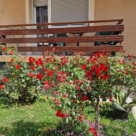 Guesthouse Irac Тузла Екстер'єр фото