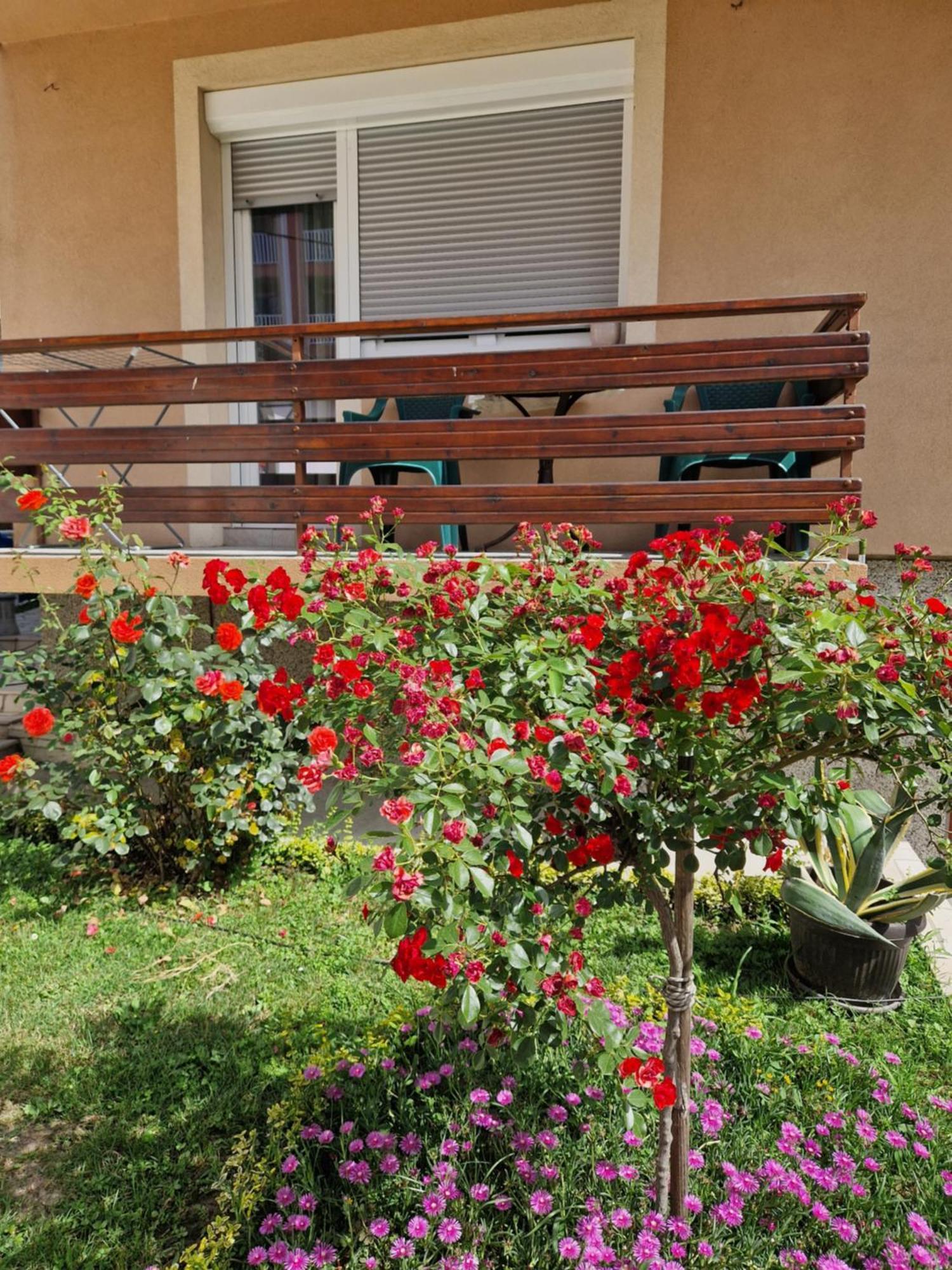 Guesthouse Irac Тузла Екстер'єр фото